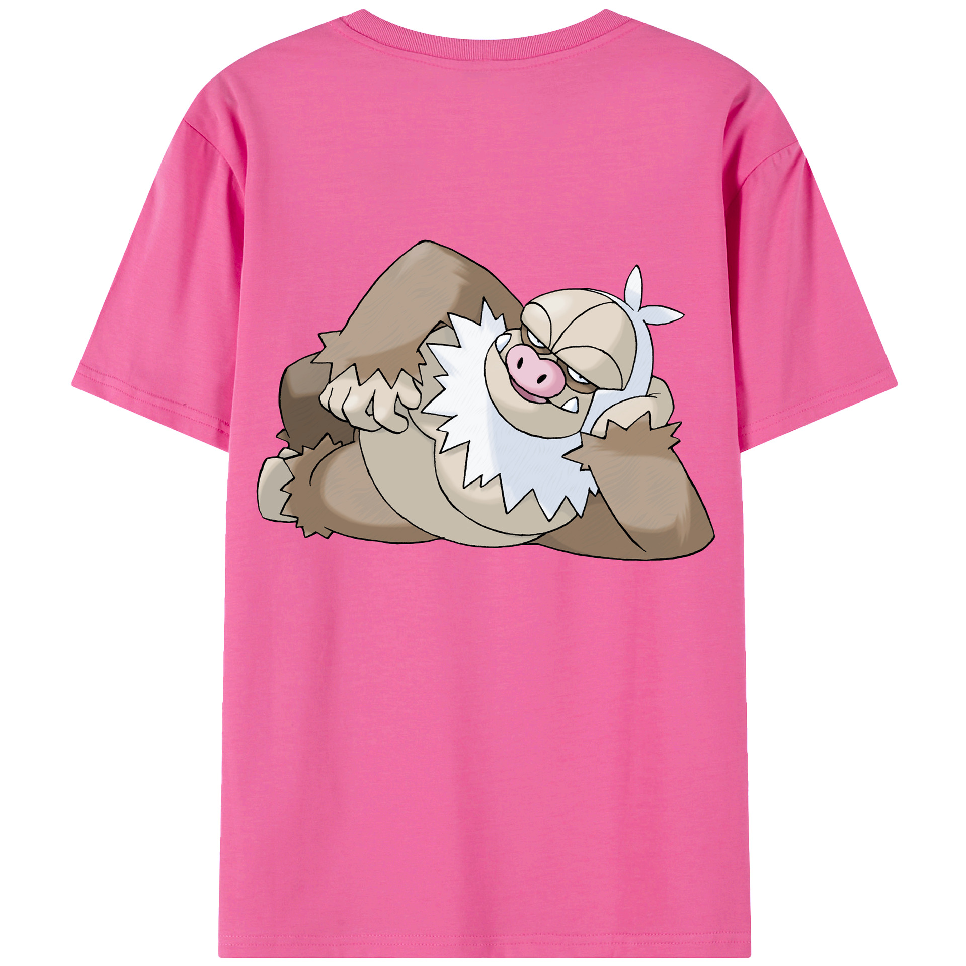 （画像用） ポケットモンスター Pokémon レディース半袖Tシャツ(バックプリント)